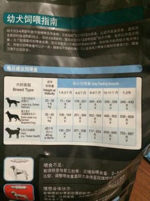 狗狗下奶的食物有哪些-图1