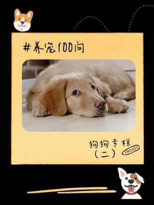 狗狗喝水多尿频怎么回事-图1