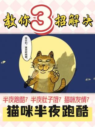 怎么阻止猫咪半夜跑酷-图1