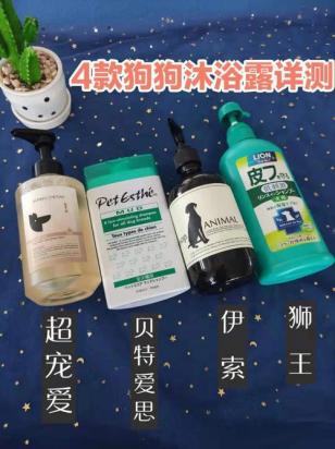 狗用一次人的沐浴露有问题没-图1