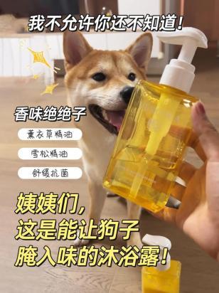 狗狗沐浴露可以用人的吗-图1