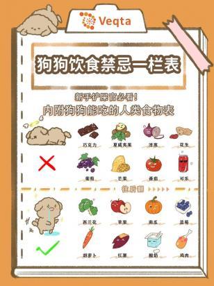 狗狗哪些东西不能多吃-图1