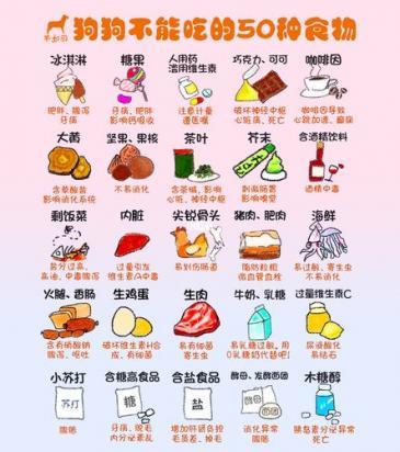 狗狗十大禁忌水果蔬菜排行-图1