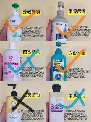给狗洗澡没有浴液用什么比较好-图1