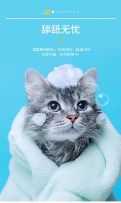 猫咪能用狗狗的沐浴露吗-图1