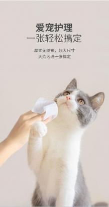 两个月猫可以用湿纸巾擦拭吗-图1