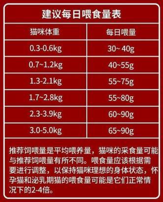 奶猫最多饿几小时-图1