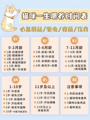 猫咪需要一日三餐固定时间吗-图1