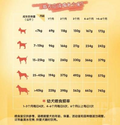 边牧一天吃多少狗粮-图1