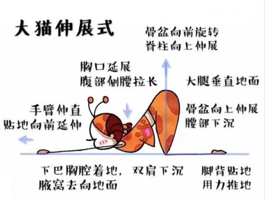俄罗斯蓝猫训练方法是怎样的-图1