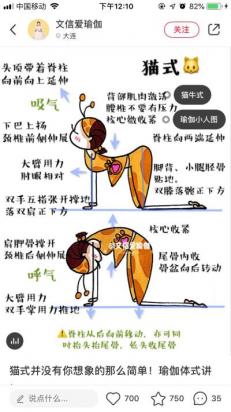 孟买猫训练方法是怎样的-图1
