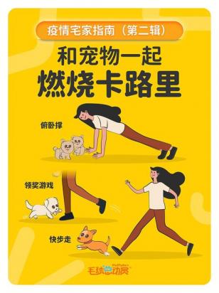 波士顿梗训练方法是怎样的-图1