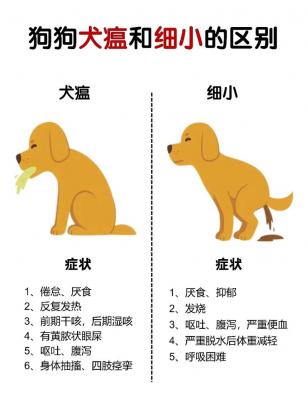 狗得细小犬瘟能活多久-图1