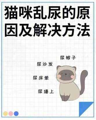 公猫绝育后为什么还会乱尿-图1