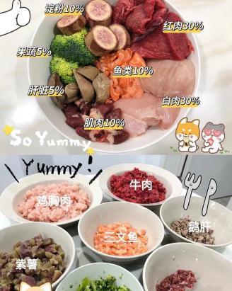 狗吃米饭和狗粮的区别在哪
