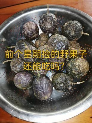 狗狗可以吃百香果吗-图1
