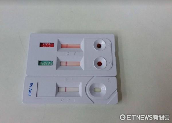 猫白血艾滋二合一测试板图片-图1