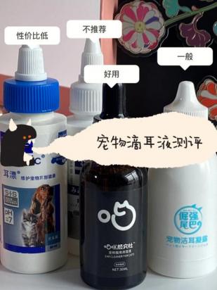 猫咪滴耳液多久用一次-图1