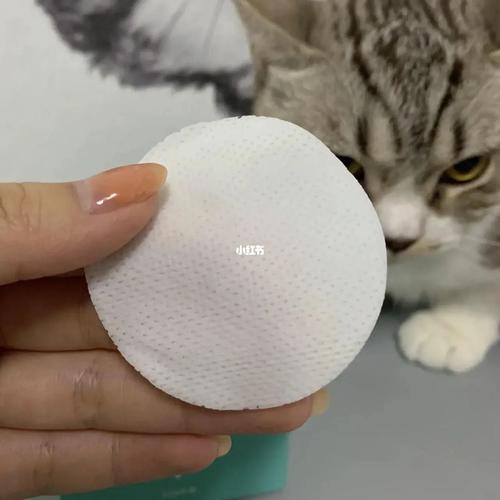 猫咪怎么除泪痕和眼屎-图1
