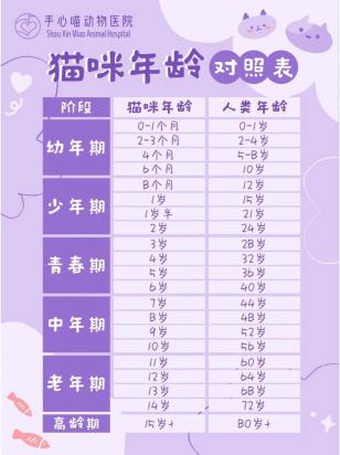 猫可以活到几岁-图1