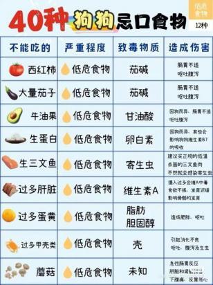 柴犬不能吃的20种水果-图1