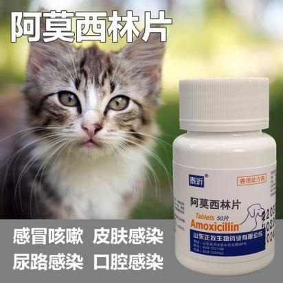 猫口腔溃疡吃什么药