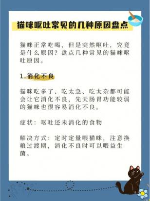 猫拉肚子是什么原因导致的-图1