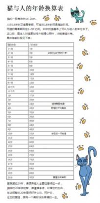 猫7岁相当于人多少岁-图1
