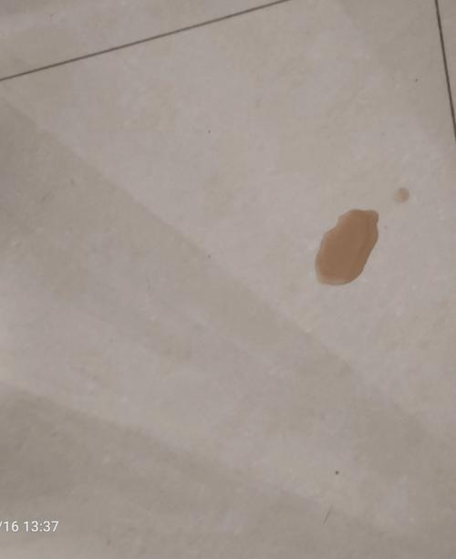 猫拉尿有血怎么回事-图1