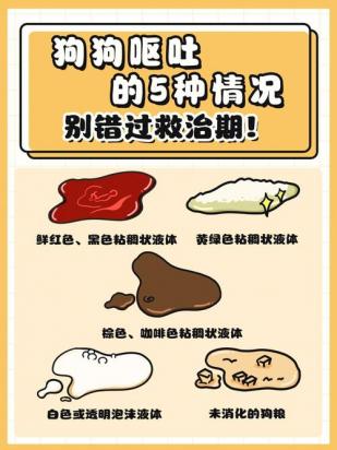 狗狗喝水就吐是什么原因-图1