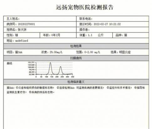 猫pcr检查是生化吗-图1