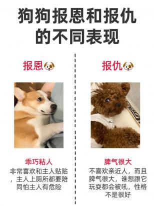 狗狗和主人关系好的表现
