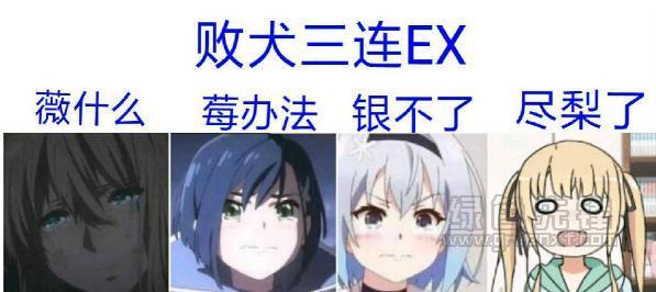 败犬是骂人的么