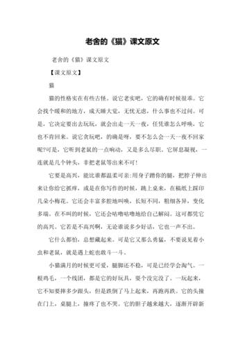 猫老舍原文-图1