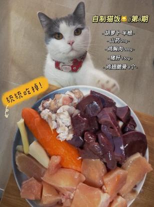 猫可以吃胡萝卜吗-图1