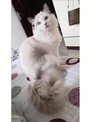 猫背与驼背区别-图1