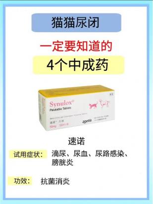 猫包的功效与作用-图1