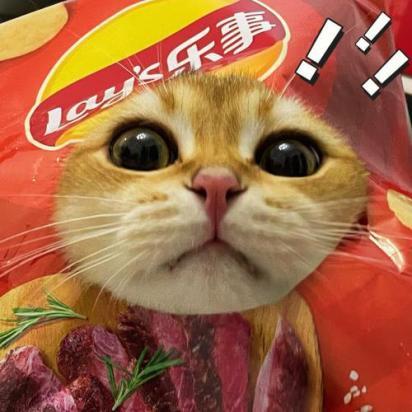 猫可以吃薯片吗-图1