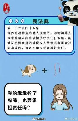 2021新民法典养狗不拴绳-图1