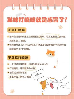 猫老是打喷嚏是怎么回事-图1