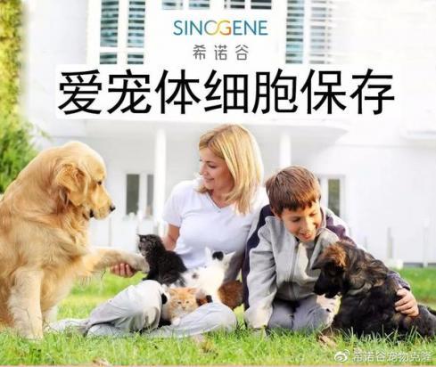 宠物狗细胞保存-图1