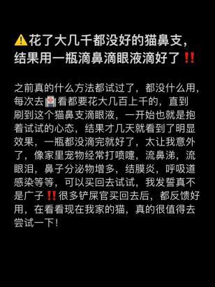 猫鼻支在家怎么治-图1