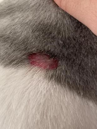 猫背的皮肉提起来痛吗-图1