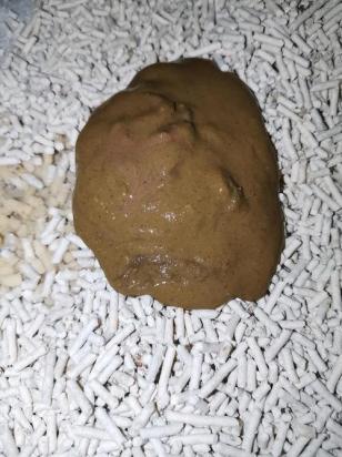 猫拉稀但是精神很好-图1