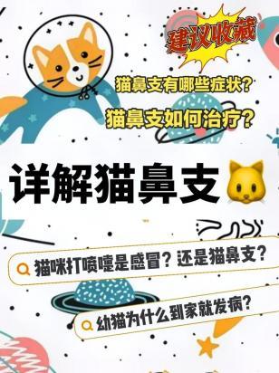 猫鼻支和普通感冒明显的区别-图1