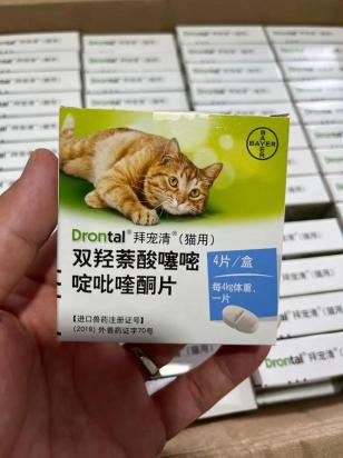 猫猫驱虫药弄到毛上面去了-图1