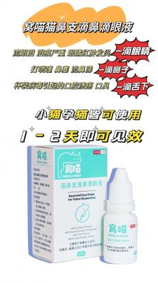 猫鼻支用什么药最有效-图1