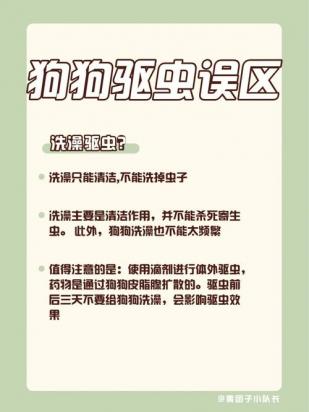 不伤害狗狗的驱蚊方法-图1
