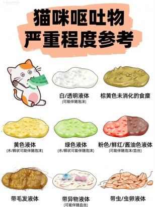 猫猫吐食物怎么回事