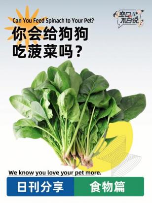 菠萝狗狗可以吃吗-图1